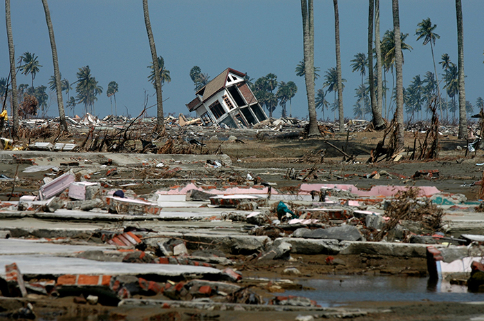 indonesia tsunami case study
